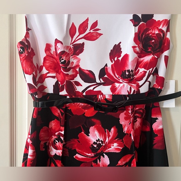 Studio Connection Belted White & Black Floral Dress with Red Rose Print Size 8 - Picture 7 of 14